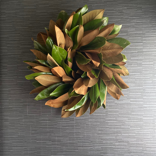 マグノリアの大きなドライフラワーリース マグノリアリース ドライ