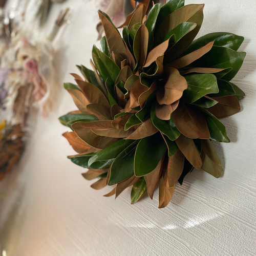 マグノリアの大きなドライフラワーリース マグノリアリース ドライ