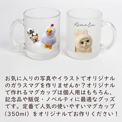 オーダーメイド 写真入りガラスマグカップ 名入れ ペットマグカップ