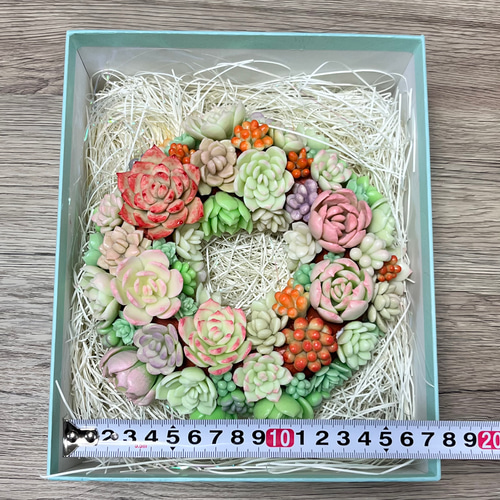 多肉植物の寄せ植えリース（樹脂粘土） 多肉植物 𝕔𝕙𝕒𝕞𝕖𝕝𝕖𝕠𝕟