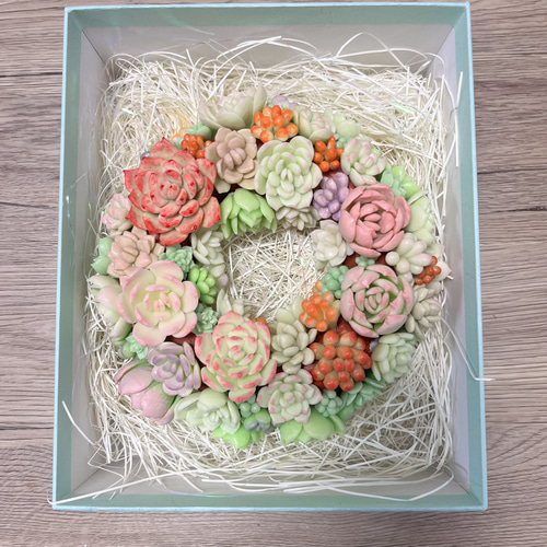 寄せ植え　多肉植物　寄せ植え　リース　p 多肉植物の寄せ植えリース（樹脂粘土） 多肉植物 𝕔𝕙𝕒𝕞𝕖𝕝𝕖𝕠𝕟