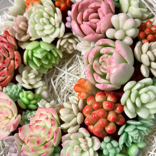 多肉植物の寄せ植えリース（樹脂粘土） 多肉植物 𝕔𝕙𝕒𝕞𝕖𝕝𝕖𝕠𝕟