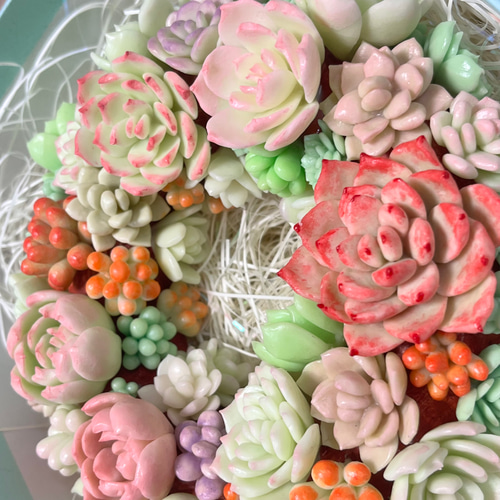 多肉植物の寄せ植えリース（樹脂粘土） 多肉植物 𝕔𝕙𝕒𝕞𝕖𝕝𝕖𝕠𝕟