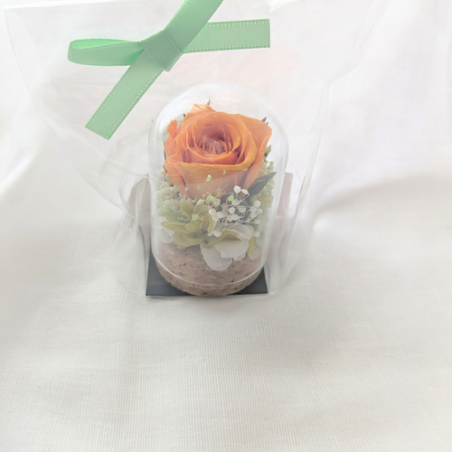 プリザーブドフラワー／ミニガラスドーム オレンジローズのミニギフト