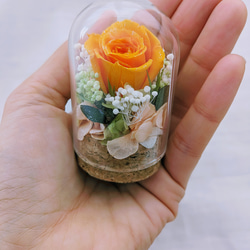 プリザーブドフラワー／ミニガラスドーム オレンジローズのミニギフト