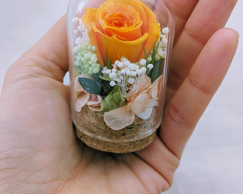 f3feef12f4c926ee3d051057d45b2d