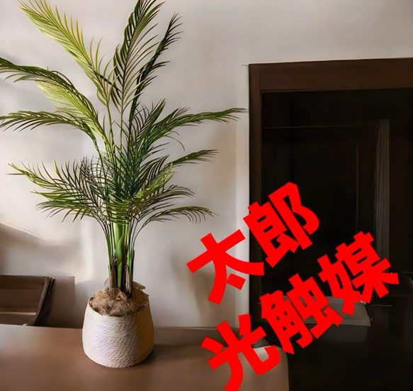 光触媒 人工観葉植物 ウォールグリーン フェイクグリーン アレカヤシ