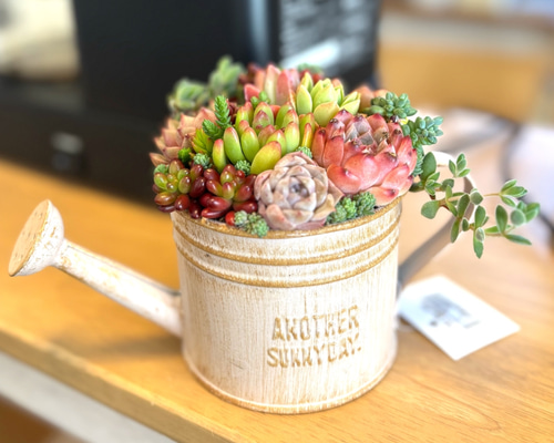 多肉植物寄せ植え　そのまま飾れる　オレンジのブリキポット♪︎* 多肉植物寄せ植え そのまま飾れる オレンジのブリキポット