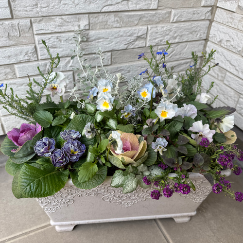 【お得】 お値下げ中 寄せ植え 花□季節の花のブリコラージュフラワー その他