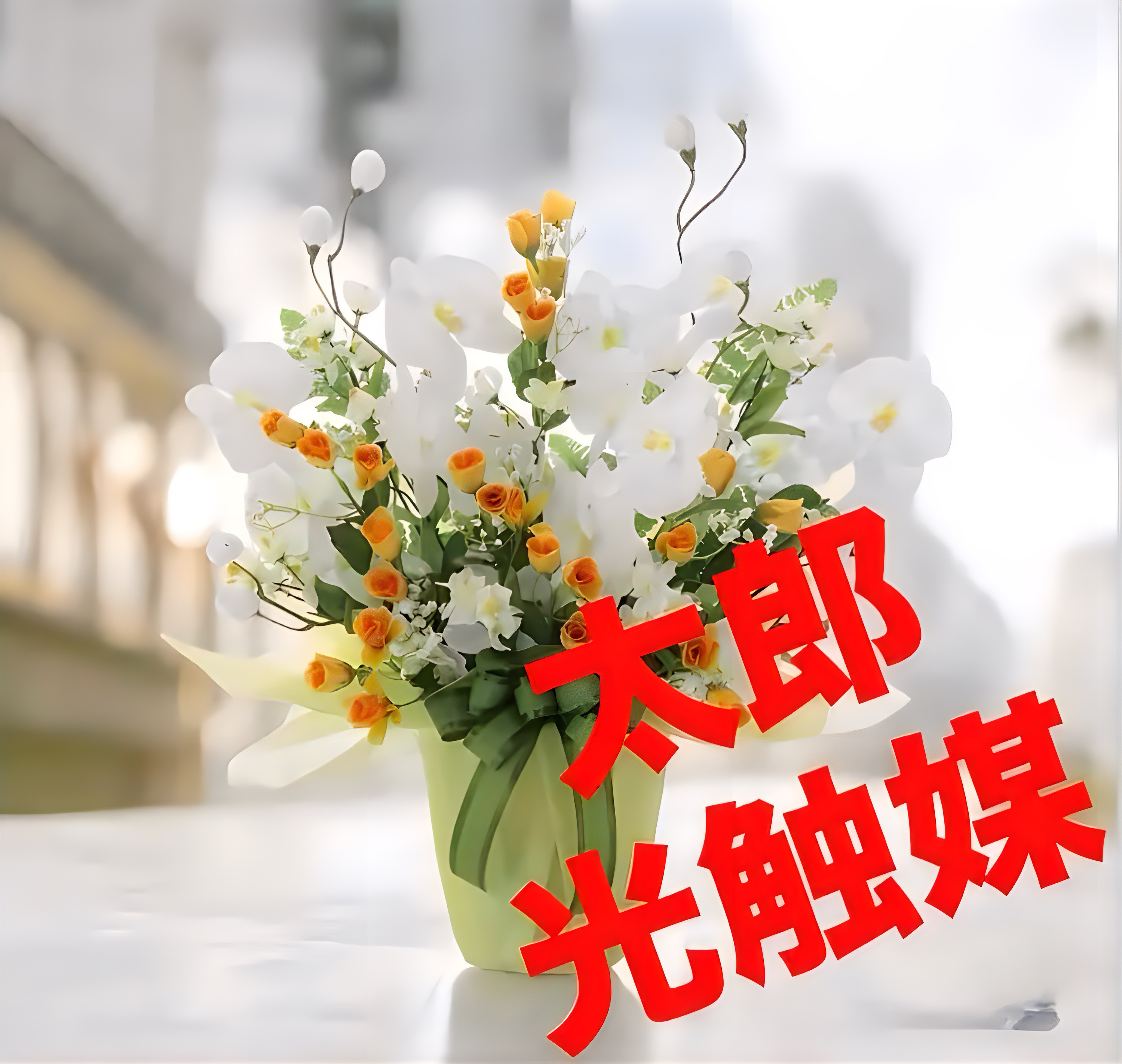 光触媒　人工観葉植物　ウォールグリーン　フェイクグリーン　胡蝶蘭メローホワイト