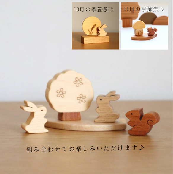  第9張的照片