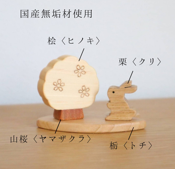  第2張的照片