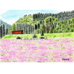 原画一点物 「レンゲ畑とローカル線」 ＜ペン＋透明水彩＞ 絵画