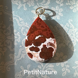 レッド♡　フォッシルコーラル　大きめ　ペンダントトップ 超レアカラー レッドフォッシルコーラルのペンダントトップ ペンダント