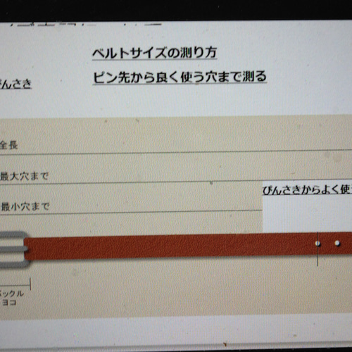 栃木レザー ツタ＆フラワースタッズベルト ブラック その他