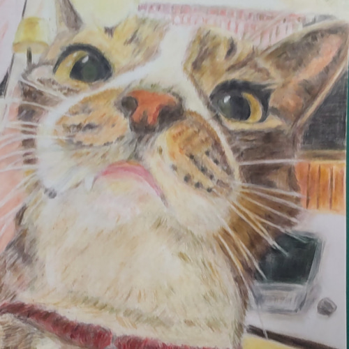 ふんわりアニマルちゃん色鉛筆似顔絵 ふんわりアニマルちゃん色鉛筆似顔絵 【公式通販】