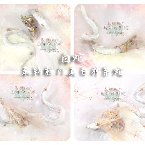 白蛇 奉納桜の真白神奈蛇 干支 巳年 完全オリジナル 幻獣 羊毛