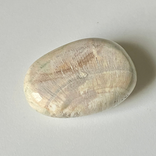 ホワイトペトリファイドウッド マダガスカル産 珪化木 磨き石 ②