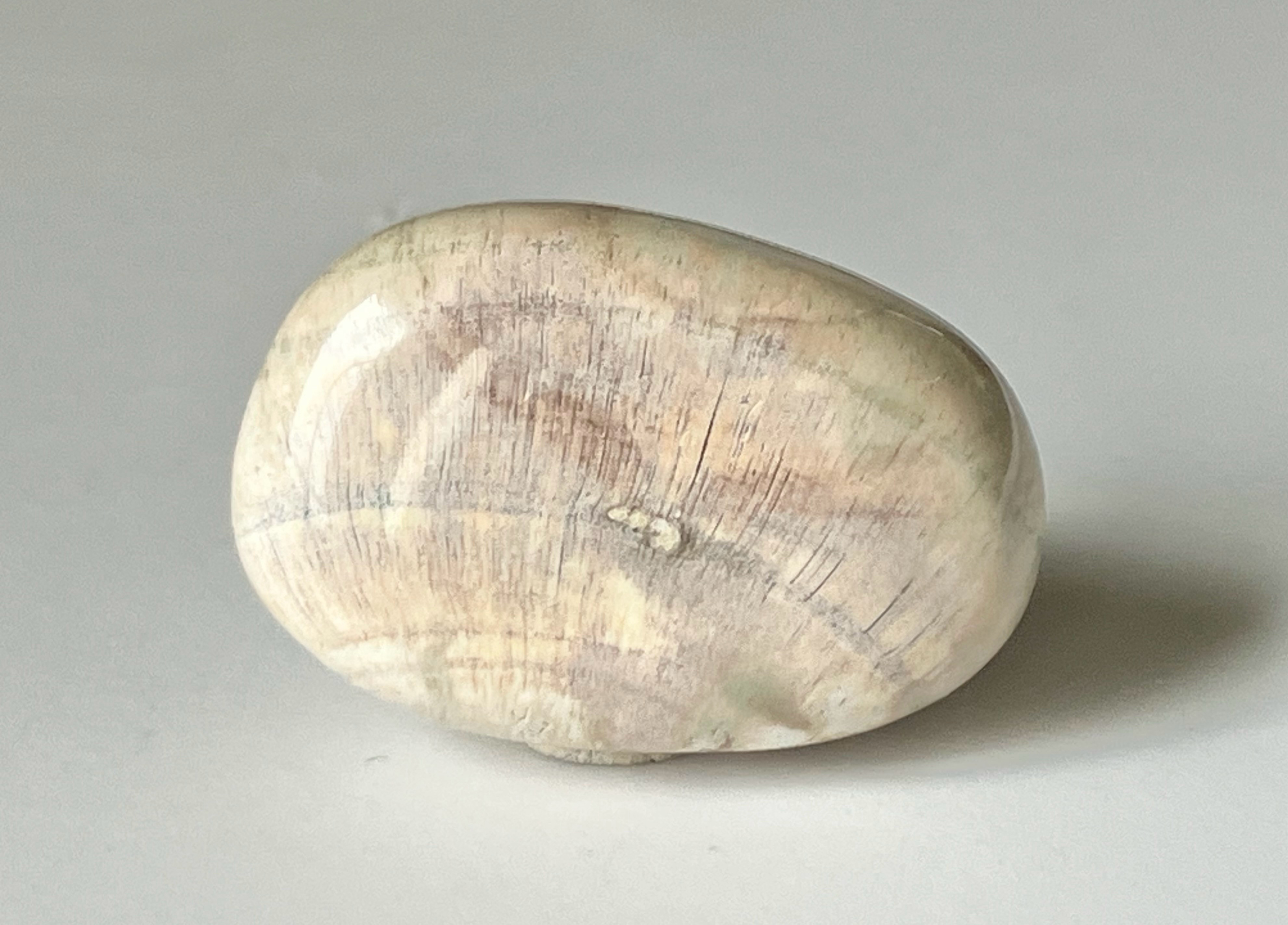 ペトリファイド 珪化木 台座付き ウッド エッグ マダガスカル産