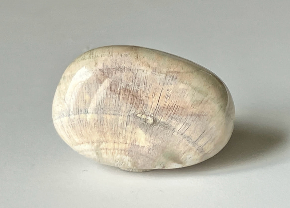 ペトリファイド ウッド エッグ 珪化木 マダガスカル産 台座付き