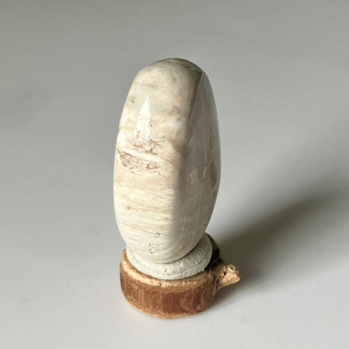 ホワイトペトリファイドウッド マダガスカル産 珪化木 磨き石 ② 台座