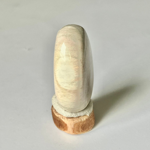 ホワイトペトリファイドウッド マダガスカル産 珪化木 磨き石 ② 台座