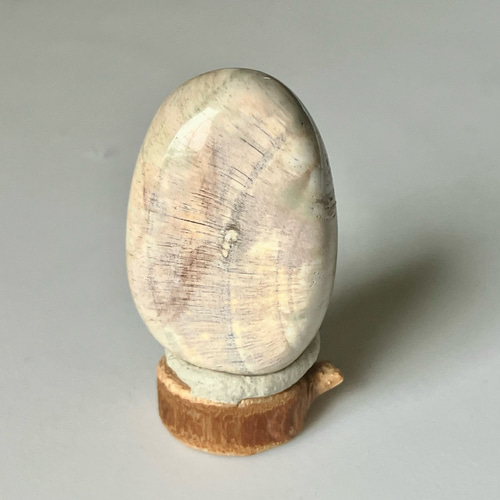 ホワイトペトリファイドウッド マダガスカル産 珪化木 磨き石 ② 台座