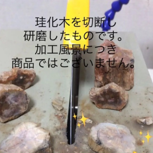 サヤカ様★専用★約2億年前！マダガスカル産 珪化木(ペトリファイドウッド) 珪化木(ペトリファイドウッド) プレート 置物 重さ140g-170g