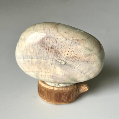 ホワイトペトリファイドウッド マダガスカル産 珪化木 磨き石 ② 台座