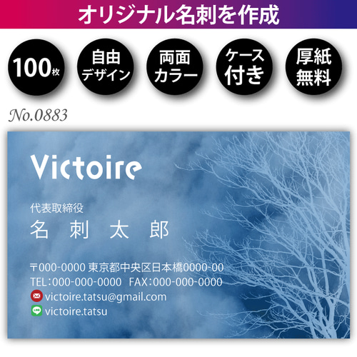 名刺 名刺作成 名刺印刷 格安 うれし 100枚 片面 フルカラー ケース付 