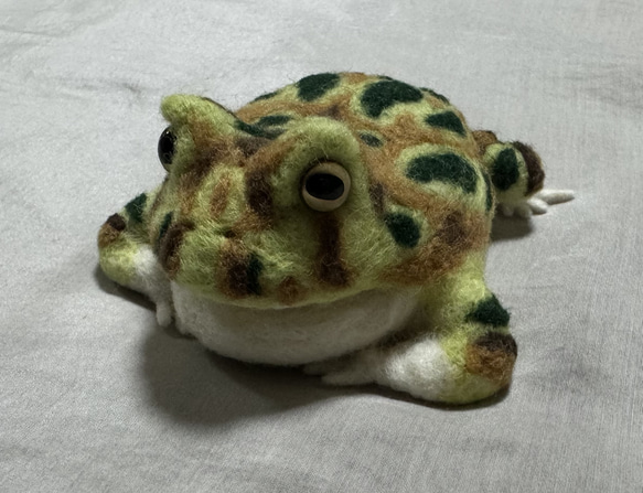 カエルメジャー クランウェルツノガエル 羊毛フェルト verdigris 通販