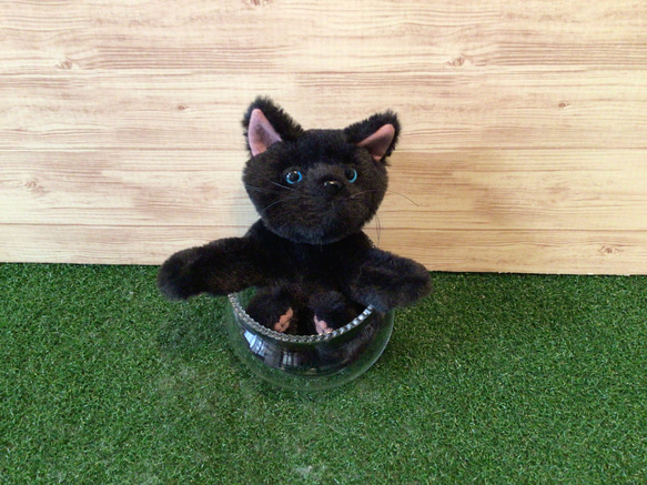 Bearington 小さなぬいぐるみ 黒猫 子猫 8インチ : べるおさ本舗