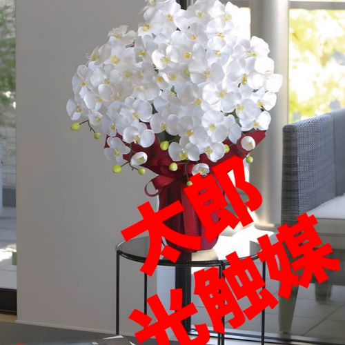 光触媒 人工観葉植物 フェイクグリーン エレガント胡蝶蘭7本立W その他