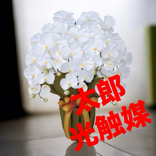 光触媒 人工観葉植物 フェイクグリーン エレガント胡蝶蘭5本立W その他