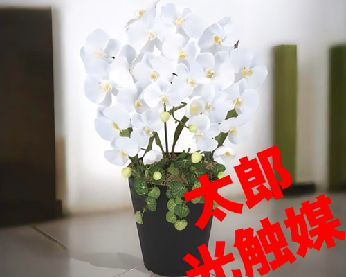 光触媒 人工観葉植物 ウォールグリーン フェイクグリーン クイーン胡蝶