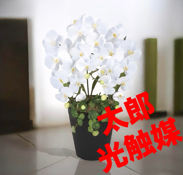 光の楽園 光触媒 人工観葉植物 ウォールグリーン フェイク 光の楽園 光触媒 人工観葉植物 ウォールグリーン フェイク