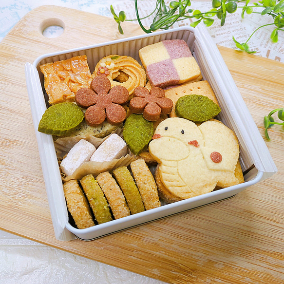 2025お正月クッキー缶【しろへび】《1〜2缶宅急便コンパクト発送