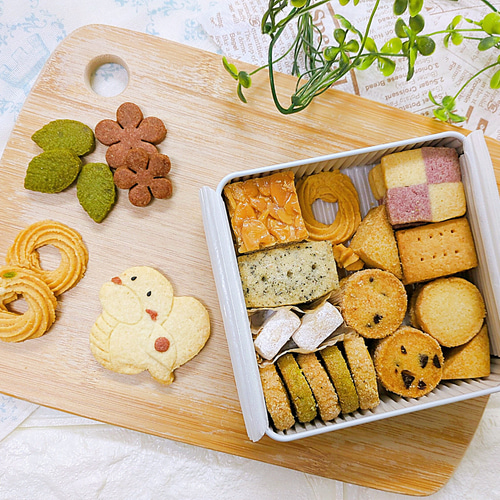 2025お正月クッキー缶【しろへび】《1〜2缶宅急便コンパクト発送