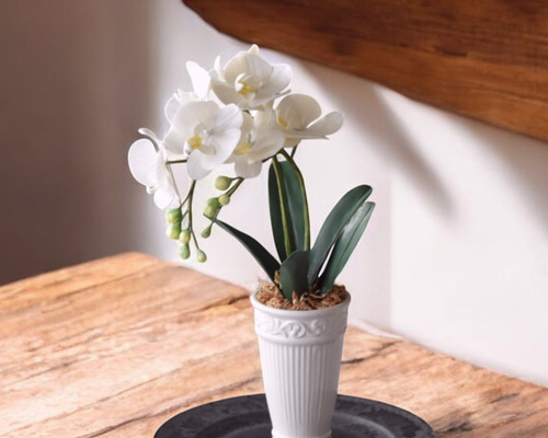 ミニチュアフラワー クレイ小花 千趣会マンスリークラブ 24鉢 未使用 ◇粘土のお花◇ ミニ胡蝶蘭 K1101-1 アートフラワー Old-Fantasy