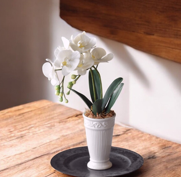 ◇粘土のお花◇ ミニ胡蝶蘭 K1101-1 アートフラワー Old-Fantasy 通販