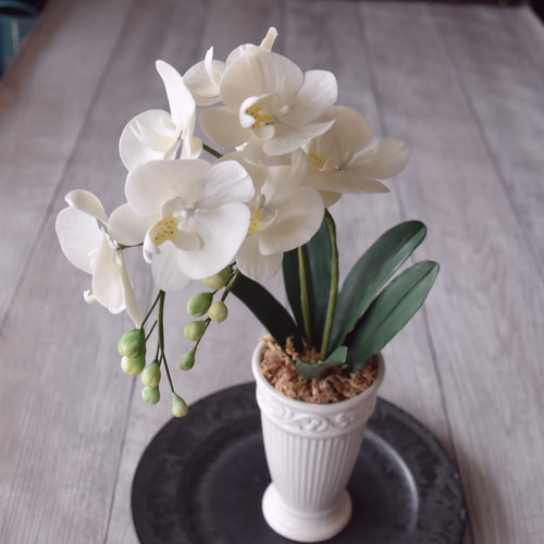 アートフラワー鉢花とフィギュア ◇粘土のお花◇ ミニ胡蝶蘭 K1101-1 アートフラワー Old-Fantasy 通販