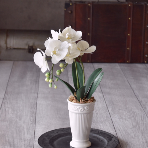 ◇粘土のお花◇ ミニ胡蝶蘭 K1101-1 アートフラワー Old-Fantasy 通販