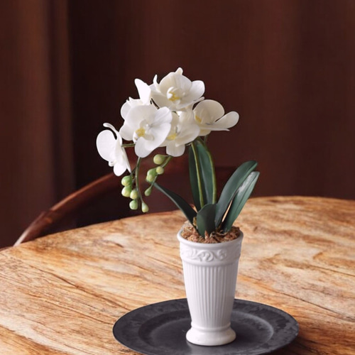 専用　ホワイト胡蝶蘭　クレイフラワー　樹脂粘土 クレイフラワーミディ胡蝶蘭 - メルカリ