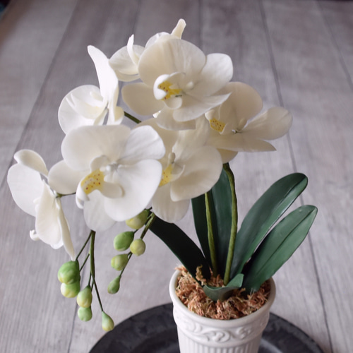 ◇粘土のお花◇ ミニ胡蝶蘭 K1101-1 アートフラワー Old-Fantasy 通販