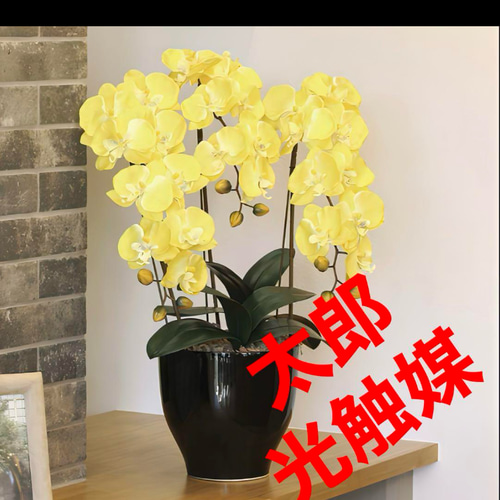 光触媒 人工観葉植物 ウォールグリーン フェイクグリーン 胡蝶蘭