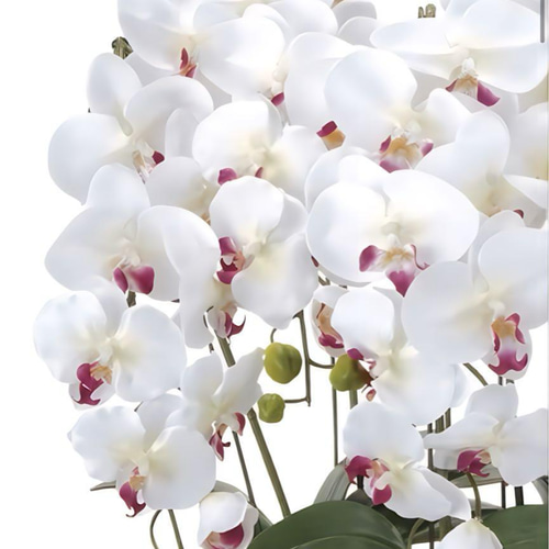 光触媒 人工観葉植物 ウォールグリーン クィーン胡蝶蘭5本w/ab高さ74