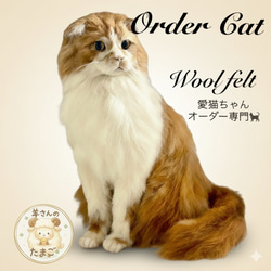 箱中ノ猫013 羊毛フェルト 壁掛け インテリア雑貨 置物 チンチラ