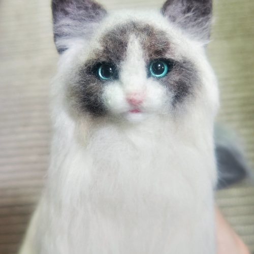羊毛フェルト リアル猫 ラグドール 猫 卸売 推し猫】羊毛フェルト