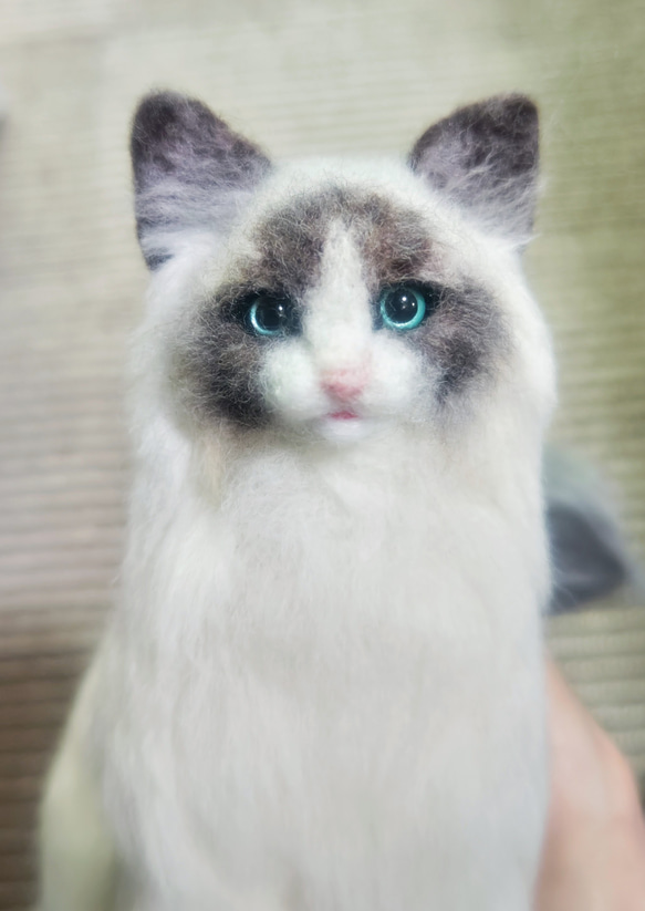 羊毛フェルト リアル猫 ラグドール 観賞用 置物 インテリア