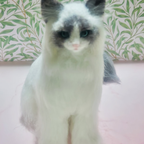 羊毛フェルト リアル猫 ラグドール 観賞用 置物 インテリア